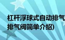 杠杆浮球式自动排气阀(对于杠杆浮球式自动排气阀简单介绍)