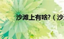 沙滩上有啥?（沙滩上有什么东西）