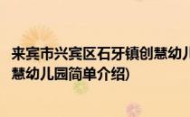 来宾市兴宾区石牙镇创慧幼儿园(对于来宾市兴宾区石牙镇创慧幼儿园简单介绍)