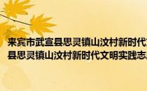 来宾市武宣县思灵镇山汶村新时代文明实践志愿服务队(对于来宾市武宣县思灵镇山汶村新时代文明实践志愿服务队简单介绍)