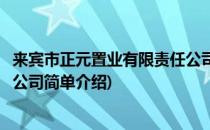 来宾市正元置业有限责任公司(对于来宾市正元置业有限责任公司简单介绍)