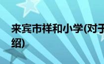 来宾市祥和小学(对于来宾市祥和小学简单介绍)