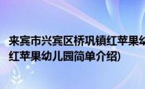 来宾市兴宾区桥巩镇红苹果幼儿园(对于来宾市兴宾区桥巩镇红苹果幼儿园简单介绍)