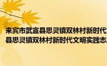 来宾市武宣县思灵镇双林村新时代文明实践志愿服务队(对于来宾市武宣县思灵镇双林村新时代文明实践志愿服务队简单介绍)