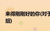 来得刚刚好的你(对于来得刚刚好的你简单介绍)