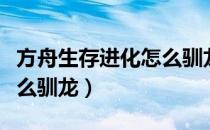 方舟生存进化怎么驯龙视频（方舟生存进化怎么驯龙）