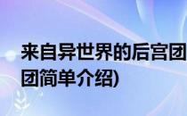 来自异世界的后宫团(对于来自异世界的后宫团简单介绍)