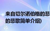 来自切尔诺伯格的悲歌(对于来自切尔诺伯格的悲歌简单介绍)