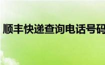 顺丰快递查询电话号码（快递查询电话号码）
