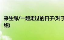 来生缘/一起走过的日子(对于来生缘/一起走过的日子简单介绍)
