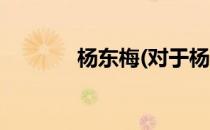 杨东梅(对于杨东梅简单介绍)
