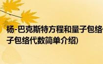 杨-巴克斯特方程和量子包络代数(对于杨-巴克斯特方程和量子包络代数简单介绍)