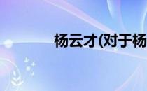 杨云才(对于杨云才简单介绍)