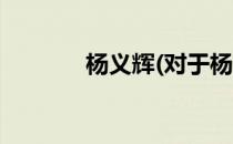 杨义辉(对于杨义辉简单介绍)