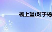 杨上望(对于杨上望简单介绍)