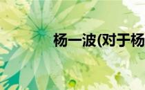 杨一波(对于杨一波简单介绍)