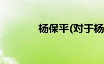 杨保平(对于杨保平简单介绍)