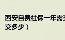 西安自费社保一年需交多少（自费社保一年需交多少）