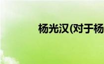 杨光汉(对于杨光汉简单介绍)