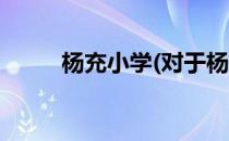 杨充小学(对于杨充小学简单介绍)