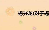 杨兴龙(对于杨兴龙简单介绍)