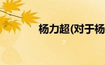杨力超(对于杨力超简单介绍)