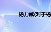 杨力威(对于杨力威简单介绍)