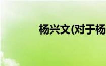 杨兴文(对于杨兴文简单介绍)