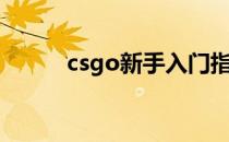 csgo新手入门指南（csgo新手）