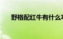 野格配红牛有什么功效（野格配红牛）
