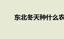 东北冬天种什么农作物（东北冬天）