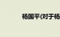 杨国平(对于杨国平简单介绍)
