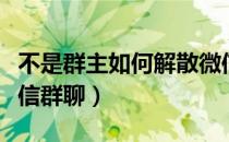 不是群主如何解散微信群聊（群主如何解散微信群聊）