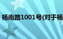 杨南路1001号(对于杨南路1001号简单介绍)