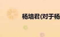 杨培君(对于杨培君简单介绍)