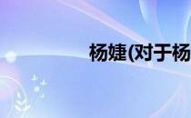 杨婕(对于杨婕简单介绍)