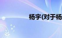 杨宇(对于杨宇简单介绍)