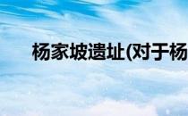 杨家坡遗址(对于杨家坡遗址简单介绍)