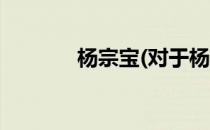 杨宗宝(对于杨宗宝简单介绍)