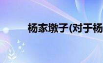 杨家墩子(对于杨家墩子简单介绍)