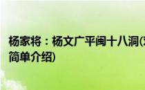 杨家将：杨文广平闽十八洞(对于杨家将：杨文广平闽十八洞简单介绍)