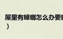 屋里有蟑螂怎么办要疯了（屋里有蟑螂怎么办）
