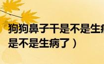 狗狗鼻子干是不是生病了的症状（狗狗鼻子干是不是生病了）