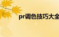 pr调色技巧大全口诀（pr调色）