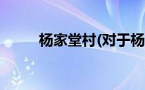 杨家堂村(对于杨家堂村简单介绍)