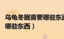 乌龟冬眠需要哪些东西和东西（乌龟冬眠需要哪些东西）