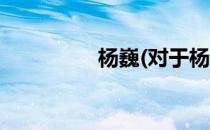 杨巍(对于杨巍简单介绍)