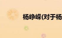 杨峥嵘(对于杨峥嵘简单介绍)