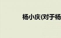杨小庆(对于杨小庆简单介绍)