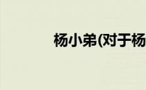 杨小弟(对于杨小弟简单介绍)